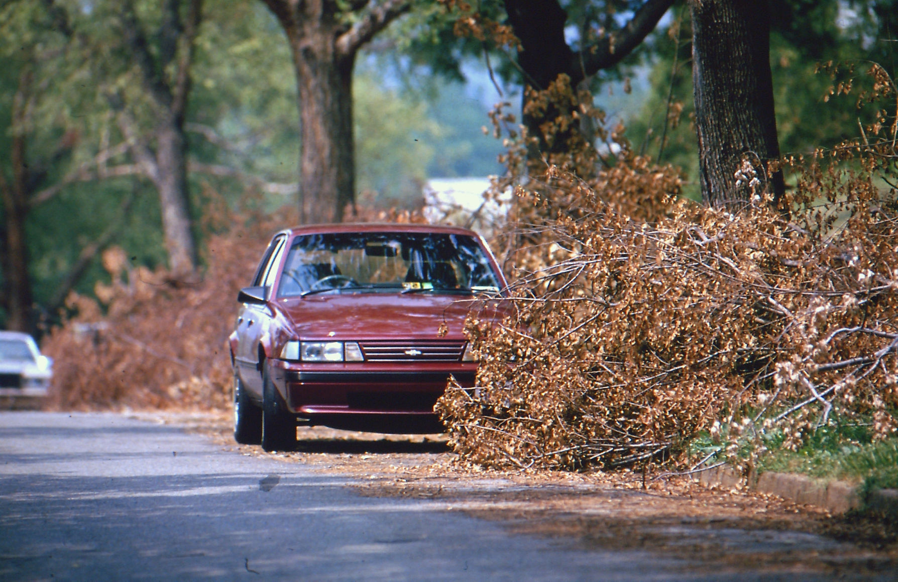 Windstorm of 1993